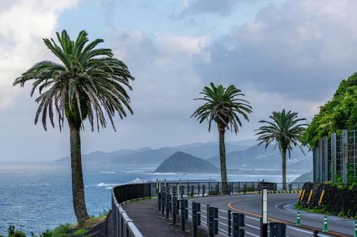 堀切峠からの景色 堀切峠からの景色 ヤシの木,海,景色の写真素材