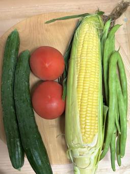 彩り豊かな夏の野菜たち 彩り豊かな夏の野菜たちの写真