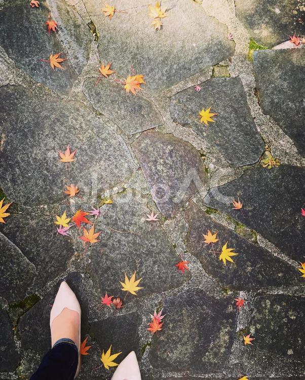 落ち葉の石畳を歩く女性の足 紅葉,落ち葉,枯れ葉の写真素材