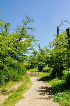 真夏の公園(22) 真夏の公園(22) 公園,夏,日差しの写真素材