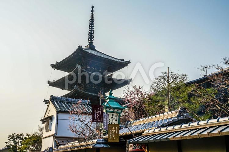 京都の街並みと五重塔 京都,街並み,歴史的建造物の写真素材