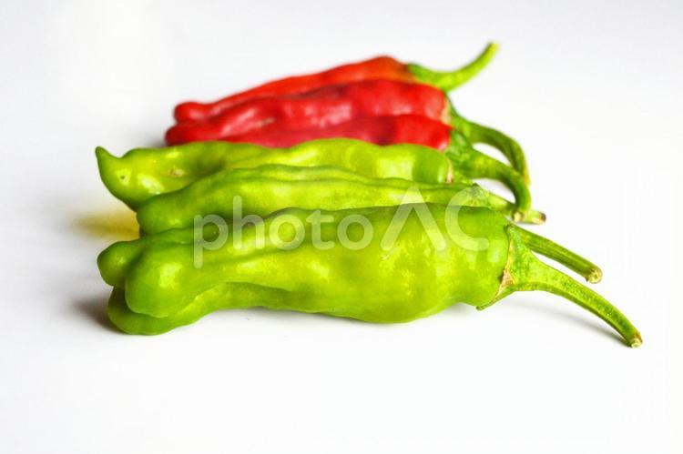 ししとう 野菜,ししとう,赤の写真素材