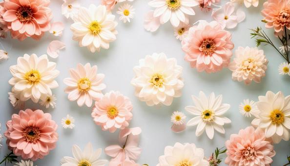パステルカラーの花のバックグラウンド パステルカラーの花のバックグラウンドの写真