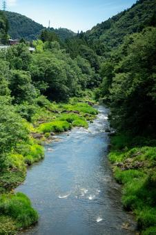 緑豊かな渓谷の川 緑豊かな渓谷の川の写真