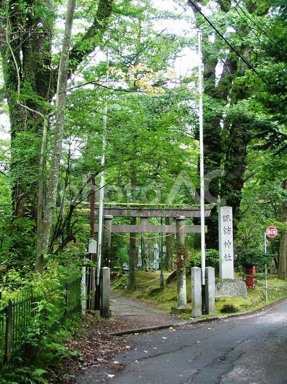 旧軽井沢諏訪神社の夏 軽井沢,長野県,旧軽井沢の写真素材