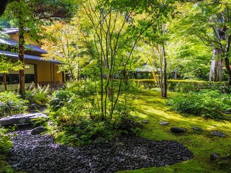 【神奈川県】鎌倉市・一条恵観山荘 一条恵観山荘,鎌倉,絶景の写真素材