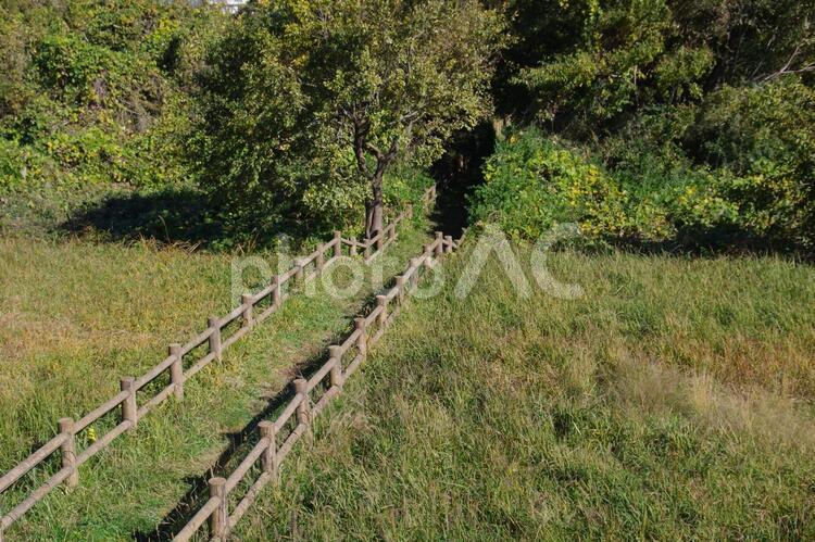 自然の中の柵 柵,フェンス,牧場の写真素材