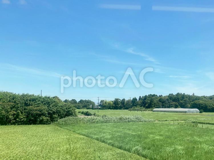 田園風景 田園風景,田園,田の写真素材