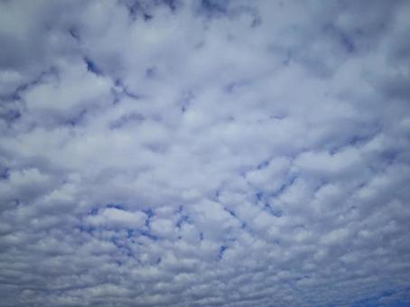 秋空.9 秋空.9の写真