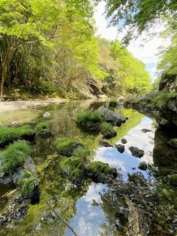 飯能河原 飯能河原 緑,山,河川の写真素材