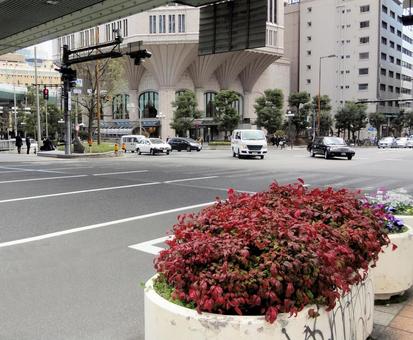 大阪 街並み 大阪 街並みの写真
