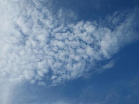 Photo, cloud, white, blue, 