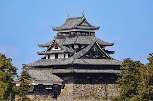 現存天守松江城40 松江城,現存天守,国宝松江城の写真素材