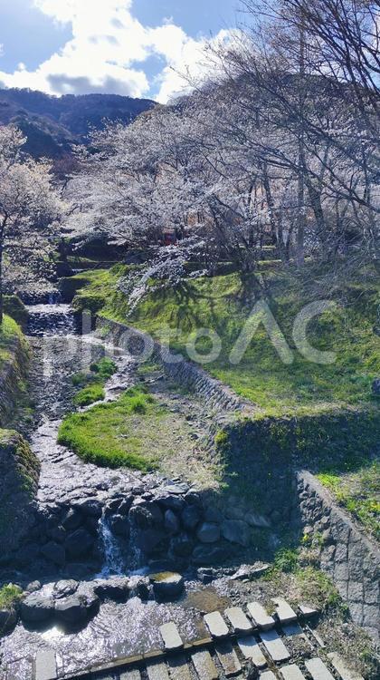 霞間ヶ渓の自然は、あなたの心を包み込む 霞間ヶ渓,かまがたに,岐阜県の写真素材