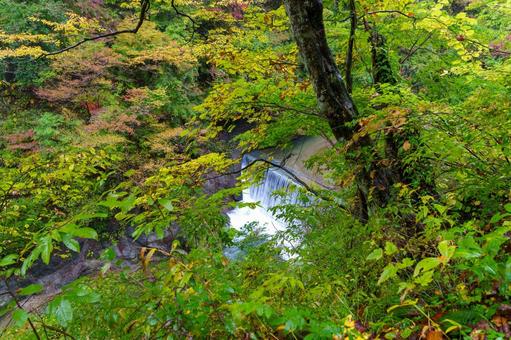 鳴子峡の紅葉の写真