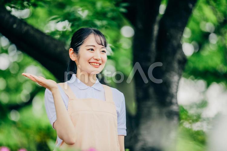 医療・介護・福祉系の女性スタッフ 介護士,ホームヘルパー,看護師の写真素材