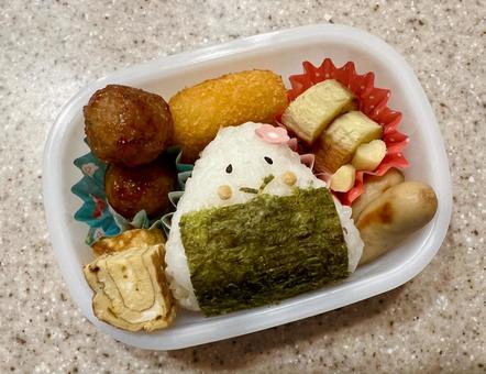 幼稚園児のお弁当 お弁当,弁当,子どもの写真素材