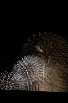 夜空に広がる花火の光 花火,打ち上げ花火,夜空の写真素材