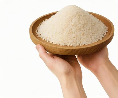 木の平たいお盆にお米を持って両手で支える 木の平たいお盆にお米を持って両手で支えるの写真