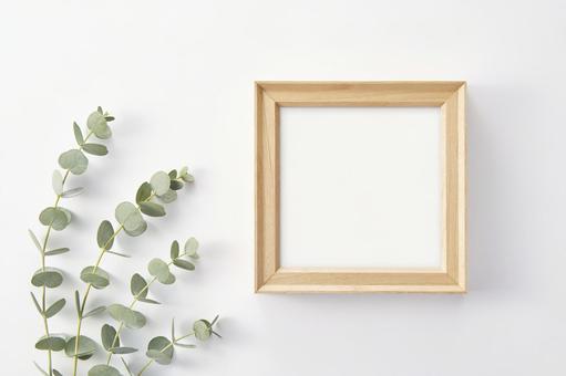 ユーカリ 植物の飾り 白背景  ユーカリ 植物の飾り 白背景  ユーカリ,葉,ボタニカルの写真素材