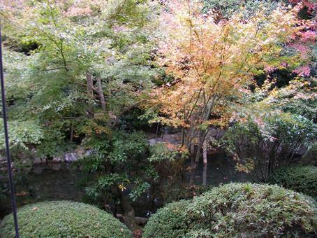 龍安寺　京都　の写真