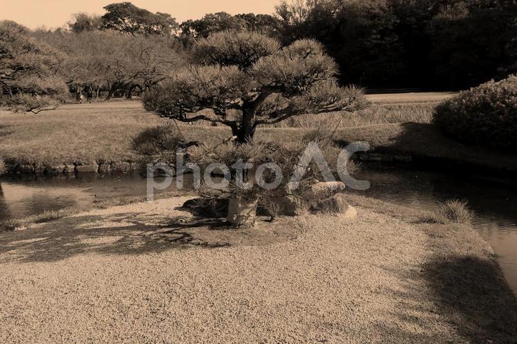 後楽園の敷地内　セピア 公園の写真素材