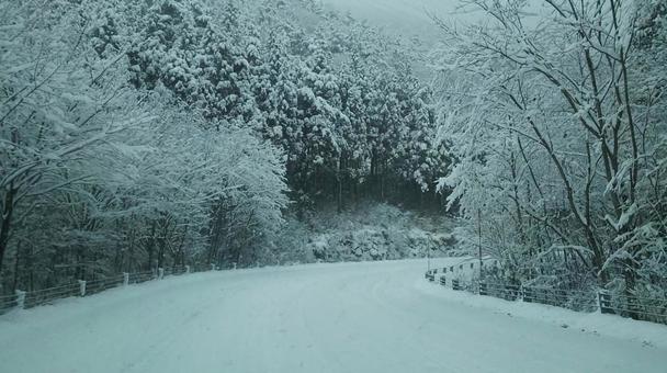 静かな雪景色 静かな雪景色 雪,雪景色,冬の写真素材