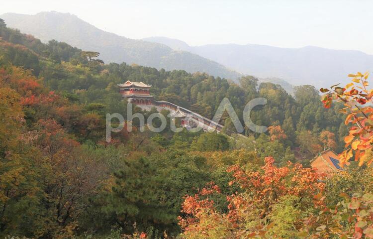 中国　北京市の香山国立公園 香山国立公園,香山,国立公園の写真素材