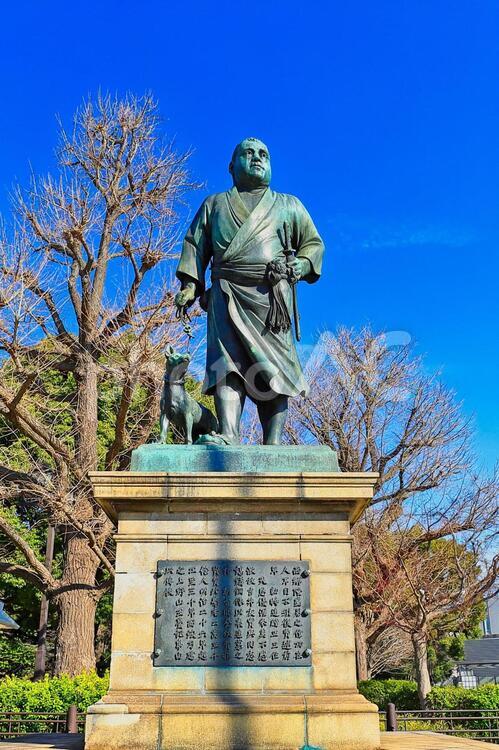 上野の西郷さん・正面 上野,西郷隆盛,西郷さんの写真素材