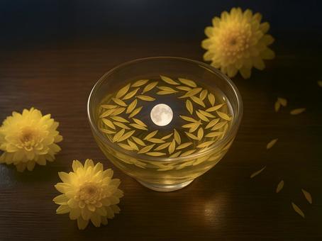 重陽_GS000008 重陽_GS000008の写真