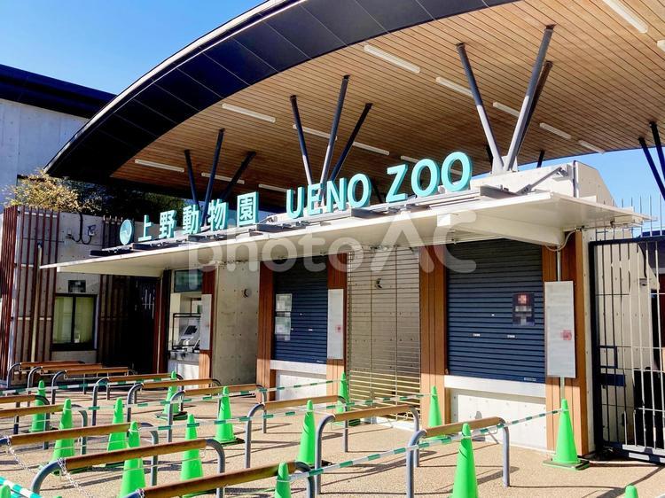 東京風景・上野動物園 上野動物園,恩賜上野動物園,東京都恩賜上野動物園の写真素材