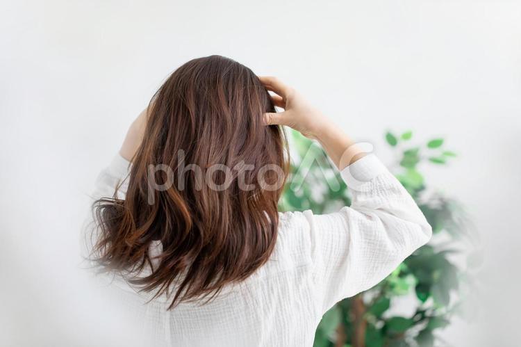 ヘッドマッサージ マッサージ,ヘッドマッサージ,ヘッドスパの写真素材