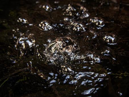 明け方の水面 水面,明け方,しずくの写真素材