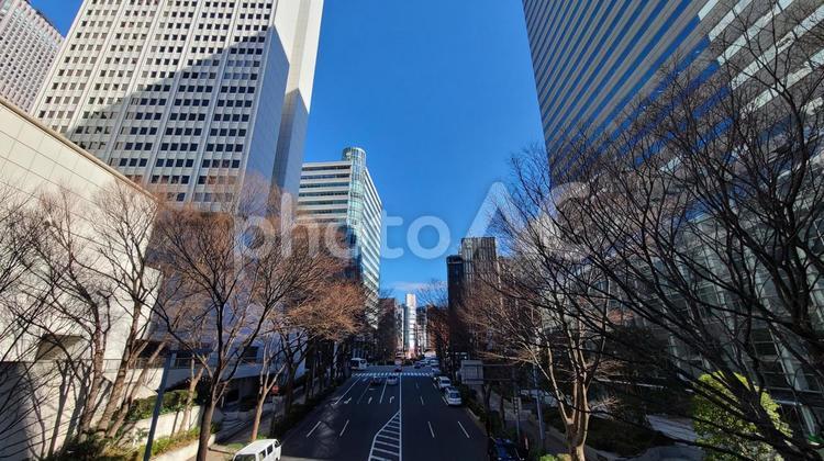冬のオフィス街 東京,都市,オフィスの写真素材