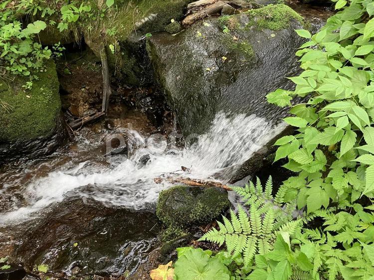 手稲山に流れる沢 手稲山,沢,山の写真素材