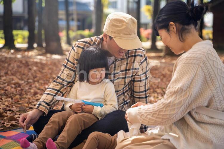 秋の公園で遊ぶ家族 ピクニック,行楽,秋の写真素材