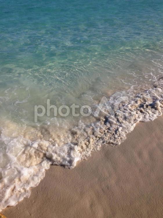 エメラルドグリーンの波打ち際 カンクン,透明,海の写真素材