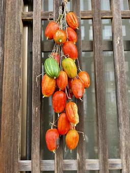 Photo, auspicious, melon, calanguri, 