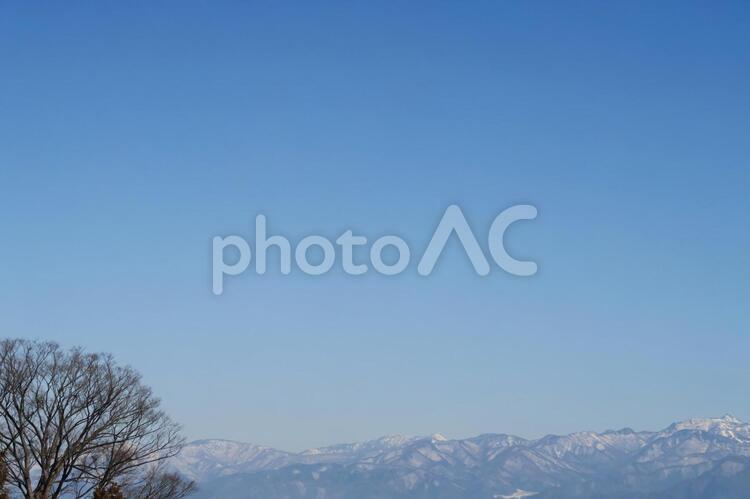 冬の空と木 空,青空,風景の写真素材