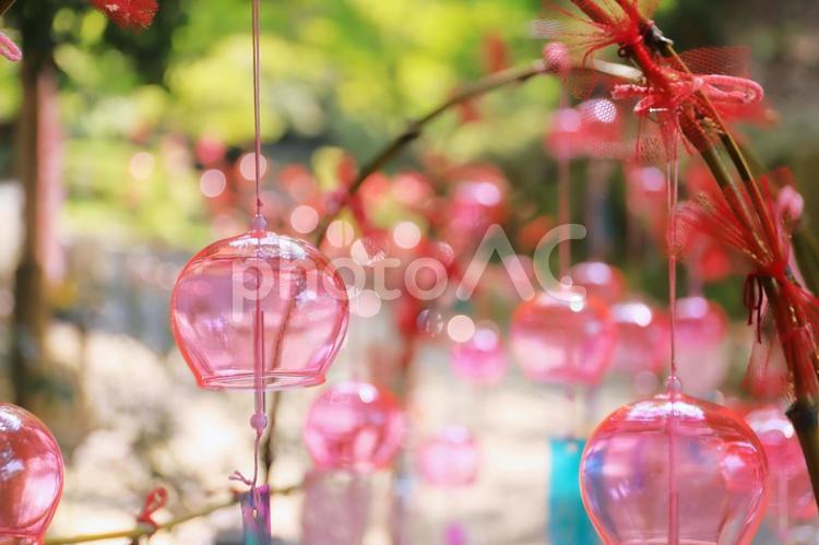 赤色が素敵なガラス風鈴 風鈴,ガラス風鈴,夏の写真素材
