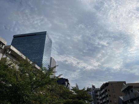 神田川9月:雨上がりの西新宿ビル 神田川9月:雨上がりの西新宿ビル 雨上がり,曇り,雲の写真素材
