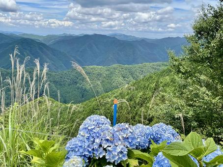 高野龍神スカイライン　駐車場からの景色 紫陽花,あじさい,高野龍神スカイラインの写真素材