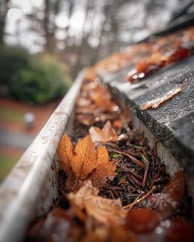 季節の移り変わり:雨樋に溜まった枯葉と泥 季節の移り変わり:雨樋に溜まった枯葉と泥の写真