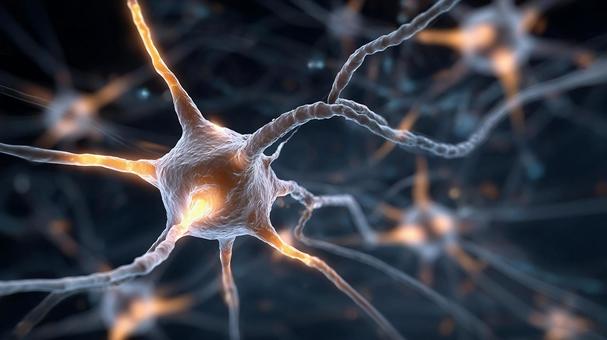 光るニューロンの神秘の写真