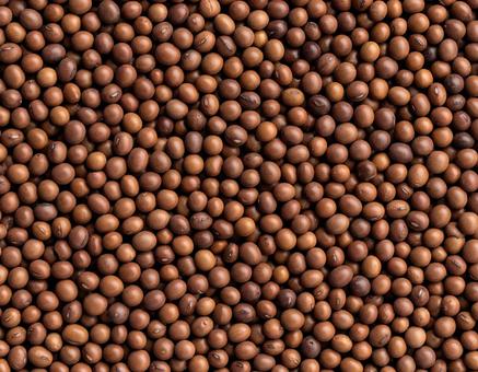 自然な茶色の大豆 自然な茶色の大豆の写真