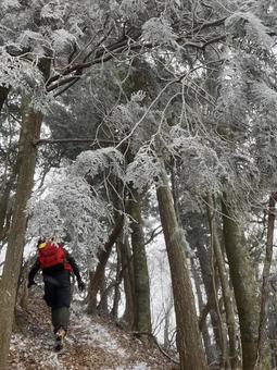 登山雪 登山雪の写真
