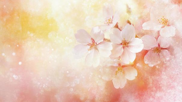 ふんわり桜の水彩背景 ふんわり桜の水彩背景の写真