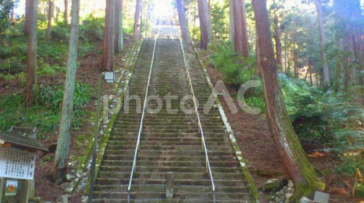 果てしない階段 果てしない,階段,修行の写真素材