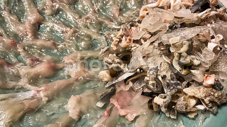 大皿に乗せられたフグの刺身 大皿,乗せる,白いの写真素材