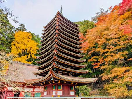 談山神社の紅葉 秋,紅葉,談山神社の写真素材